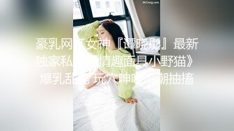 豪乳网红女神『谭晓彤』最新独家私拍《情趣面具小野猫》爆乳乱晃 玩穴呻吟高潮抽搐