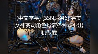 (中文字幕) [SSNI-846] 完美女神葵司角色扮演各种职业出轨做爱