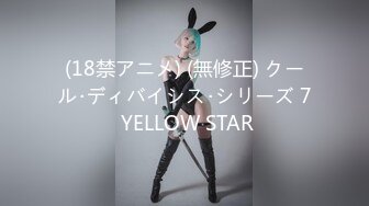 (18禁アニメ) (無修正) クール･ディバイシス･シリーズ 7 YELLOW STAR