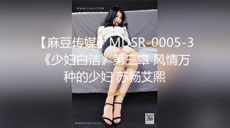 【麻豆传媒】MDSR-0005-3《少妇白洁》第三章 风情万种的少妇 苏畅艾熙